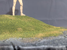 Load image into Gallery viewer, Ikea Detolf Grassy Hill and Stone Display
